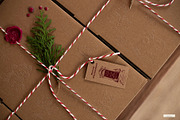 Little Christmas Things Illustration, a Seasonal Illustration by Feelsoul (Thumbnail 2 of 10)