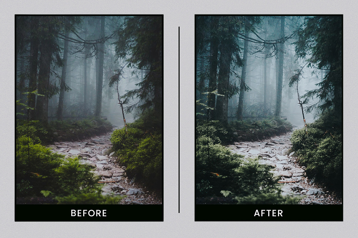 EVERGREEN CLEAN LIGHTROOM PRESETS, an Action Add-On by Nes Design Co (Photo 9 of 10)