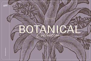 The Botanical Collection