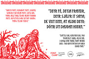 Scandinaufan Runes Font, a Serif Font by Fontcamp Type Foundry (Thumbnail 9 of 16)