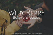 Artemis - Handwritten Serif, a Serif Font by Ellen Carty Design (Thumbnail 4 of 11)