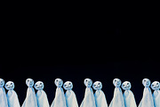 12 Halloween backgrounds, a Holiday Photo by pictures for you (Thumbnail 4 of 10)