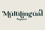 Blue Village – Modern / Vintage Font, a Serif Font by Issam Type (Thumbnail 8 of 12)