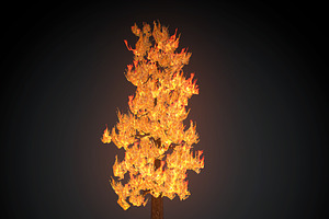 Burning Tree Big