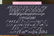Starlight Holiday Handwritten Font, a Script Font by Letterena Studios Script (Thumbnail 9 of 20)