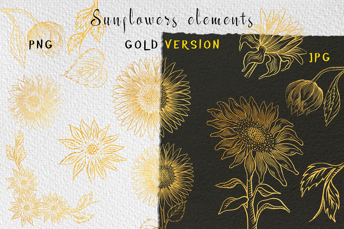 Sunflower clipart collection, an Illustration by Gennadi Digital Studio (Photo 4 of 7)