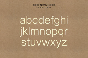 Thoren Sans Sans Serif Type Family