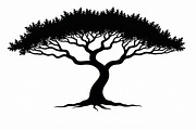 20 Nature Tree SVG Collection, an Illustration by Artivon (Thumbnail 15 of 21)