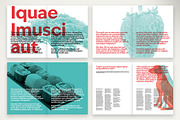 Bold and Modern Aesthetic Magazine, a Print Template by McLittle Stock (Thumbnail 3 of 5)