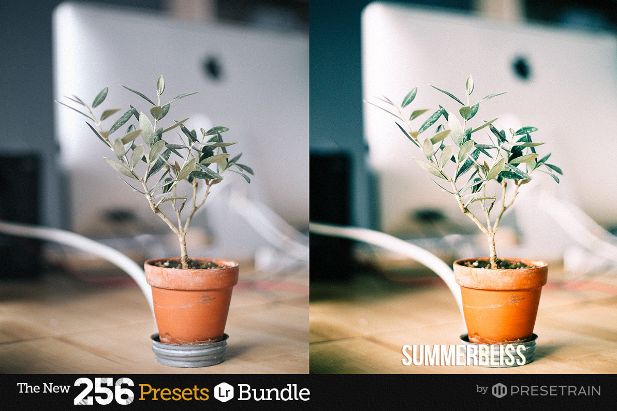 256 New Lightroom Preset Bundle, an Action Add-On by Presetrain Co. (Photo 38 of 51)