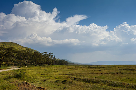 Landscape of savannah with clouds in National Park of Africa, a Nature Photo by Byrdyak
