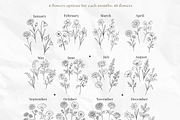Birth Flowers Procreate PNG SVG, a Brush Add-On by LaurenceVArtiste (Thumbnail 2 of 7)