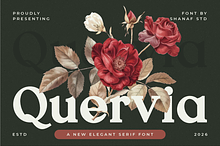 Quervia Elegant Serif Font