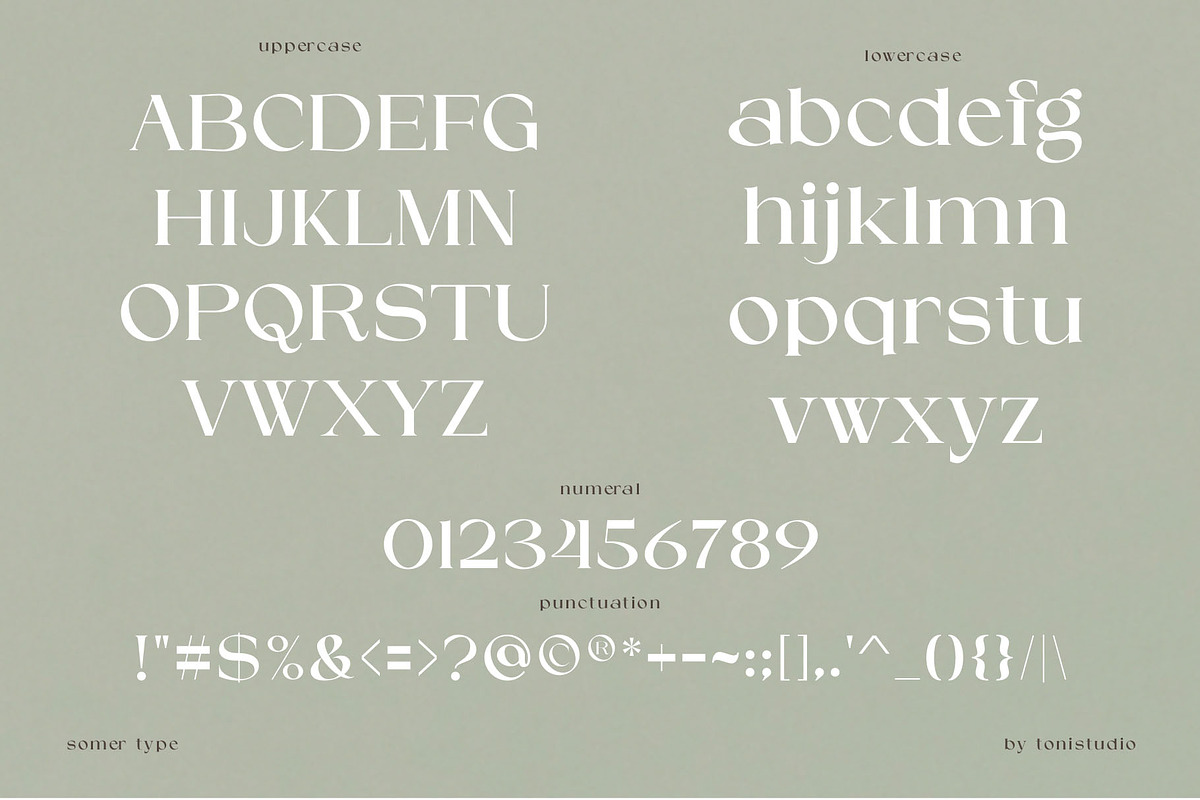 SOMER | modern and elegant serif, a Serif Font by ToniStudio (Photo 9 of 11)