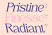 CS Castle – Elegant Font, a Serif Font by Craft Supply Co. (Thumbnail 3 of 8)