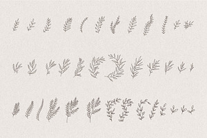 Set Of Hand Drawn Greenery