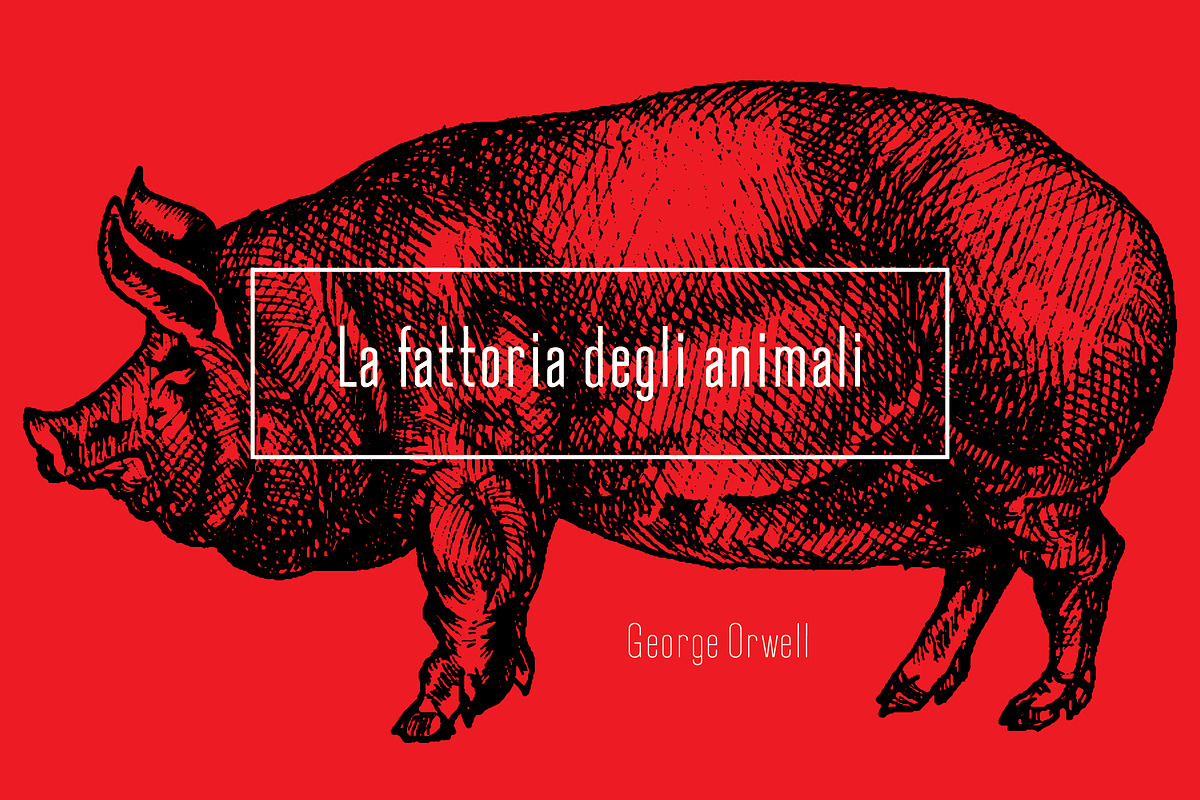 Okana Condensed Sans Serif, a Sans Serif Font by CorgiAstronaut (Photo 3 of 9)