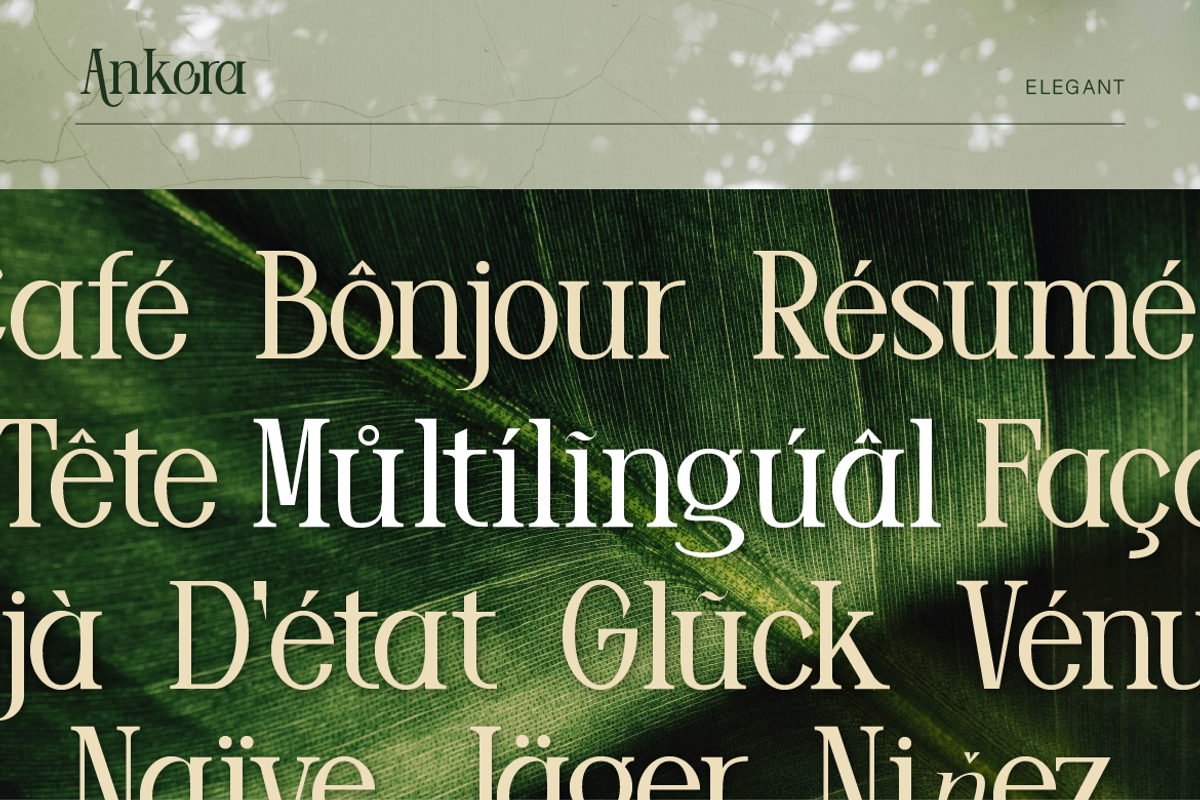 Ankora, a Serif Font by Burntilldead (Photo 12 of 13)