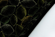 Lemon. Sketch and patterns, a Background Graphic by Canatic (Thumbnail 11 of 19)