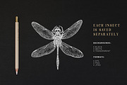ENTOMOLOGY. Insects Vintage Pack., a Decorative Illustration by Chewie Co (Thumbnail 6 of 11)