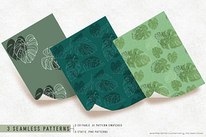 Monstera Leaf Vectors And Patterns