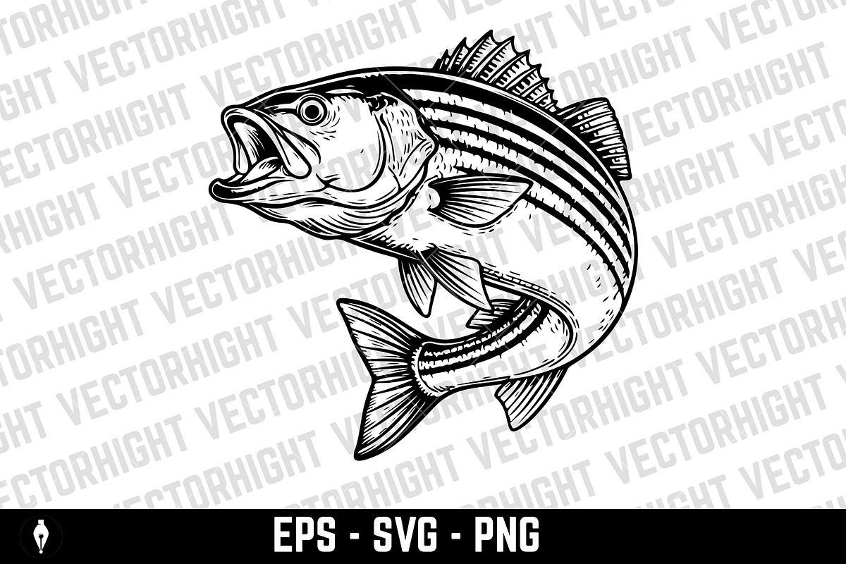 illustration of a Sea Bass, an Animal Illustration by Vectorhight (Photo 3 of 3)