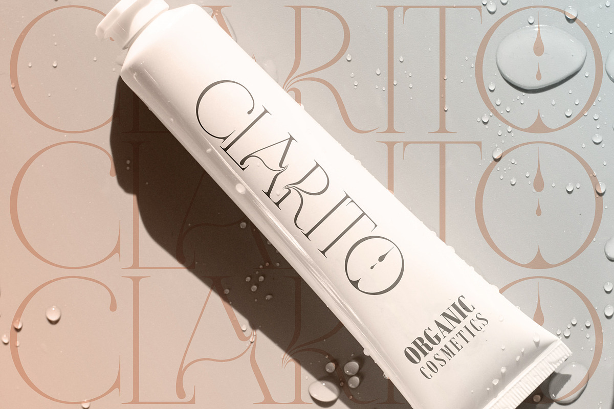 Quiescent Touch Elegant Serif Font, a Serif Font by Struvictory.art (Photo 7 of 9)