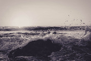 Black + White Preset Pack-7 Presets, a Preset Add-On by Lightroom Presets (Thumbnail 6 of 7)