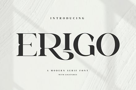 Erigo - Modern Serif Font, a Serif Font by Aqeel_Art