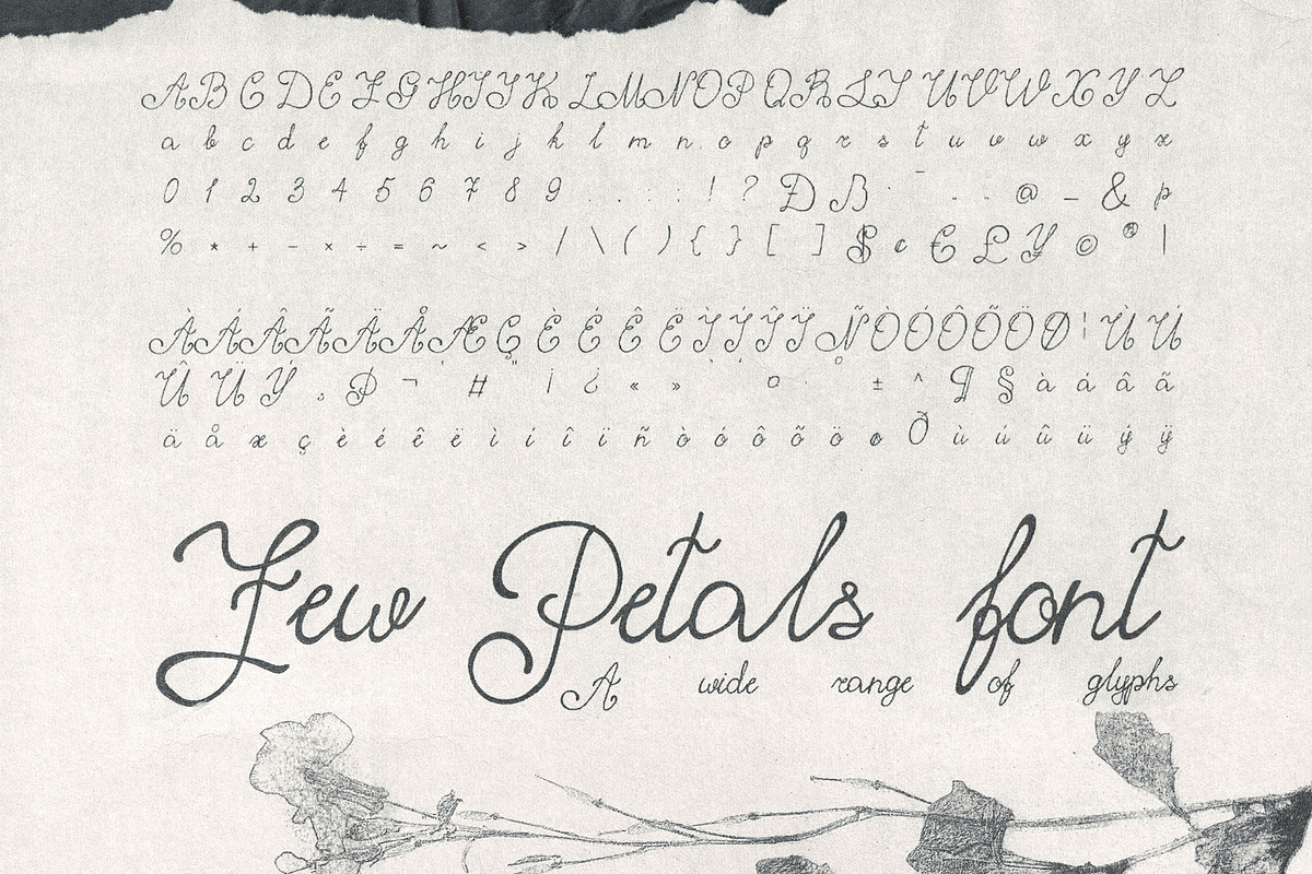 Few Petals. Dreamy Script Typeface, a Script Font by softulka (Photo 6 of 7)