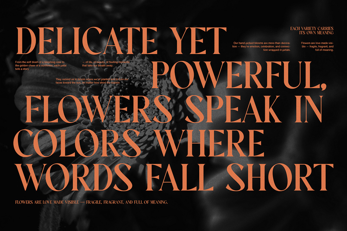 Pelogent Elegant Serif Font, a Serif Font by Graphicxell (Photo 6 of 8)