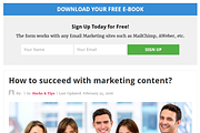 Beginner WordPress Theme, a WordPress Template by Theme Junkie (Thumbnail 2 of 4)