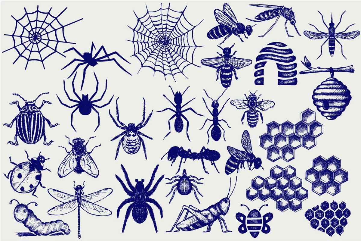 Group of different insects, an Outline Icon by LineworkStock (Photo 3 of 3)