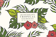 Hand Drawn Tropical Vector Elements, an Illustration by GraphicsByKassy (Thumbnail 1 of 5)