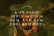 North Serif Font from By Hand Design, a Handwritten Font by By Hand Designs (Thumbnail 8 of 8)