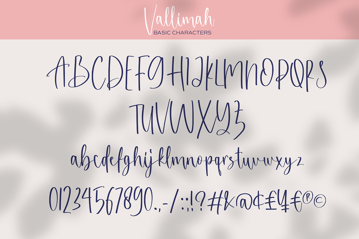 Vallimah - Organic Script Font, a Script Font by Bartama Graphic (Photo 9 of 11)