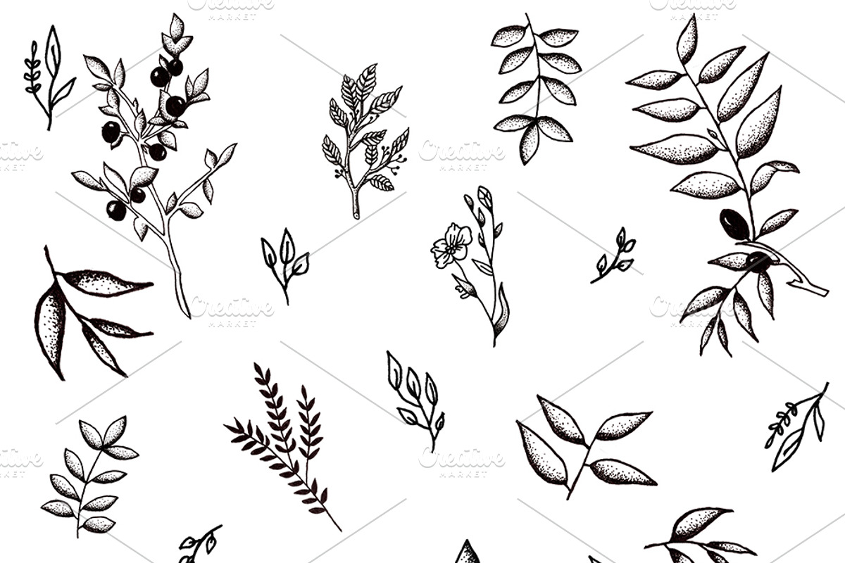 Graphic illustration set, an Illustration by Alena Ermakova (Photo 5 of 8)