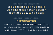 Ridasbin | Serif Classic Modernism, a Serif Font by twinstd (Thumbnail 10 of 13)