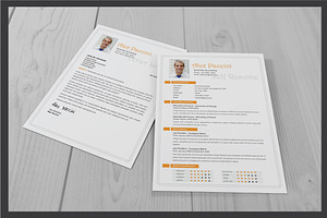 Resume Template V.03