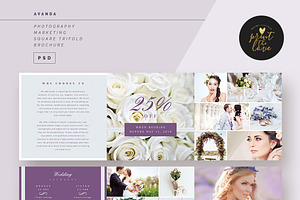 AVANDA Photography Square Brochure