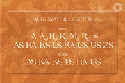 Prana - Sacred Vintage Duo, a Serif Font by Setara Langit CreativeStd (Thumbnail 12 of 12)