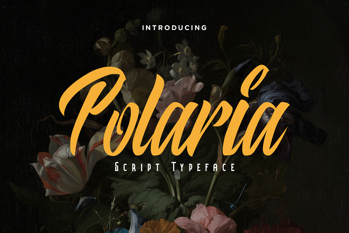 Polaria Script Typeface, a Script Font by edukka (Photo 1 of 8)