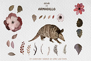Armadillo watercolor set, an Animal Illustration by Bychovsky design (Thumbnail 1 of 4)