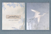 Partial View - Nature Backgrounds, a Background Graphic by Purple (Thumbnail 9 of 12)