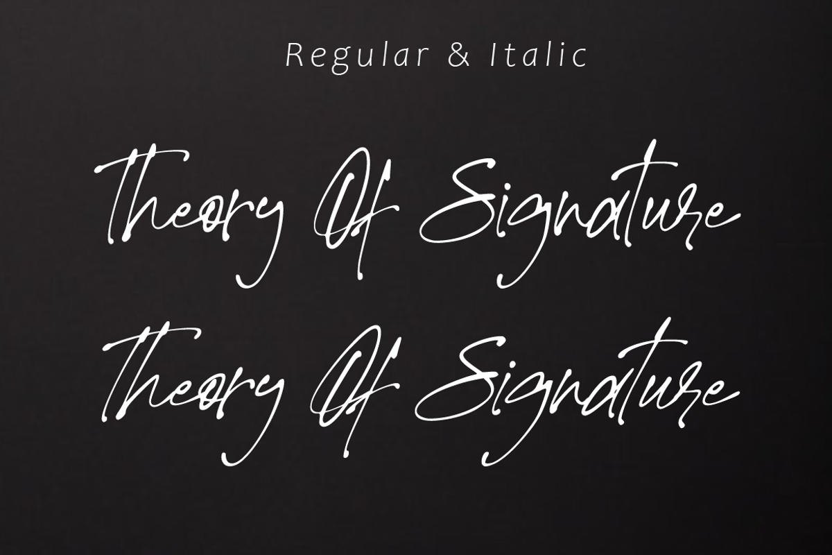 Theory Of Signature, a Script Font by AMINMARIO (Photo 6 of 9)