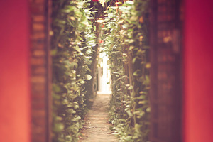 The spiritual path