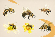 Watercolor honey bees, an Illustration by Onceli*art (Thumbnail 2 of 7)