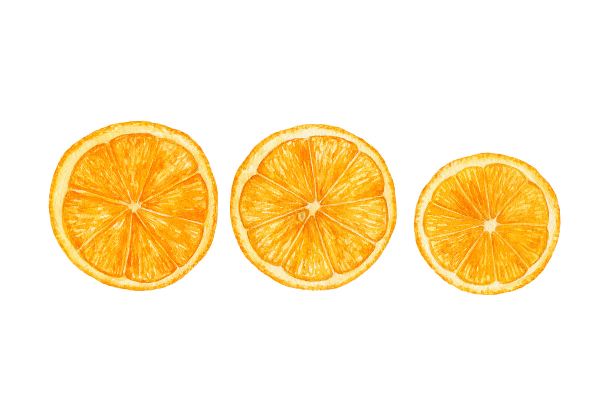 Watercolor fruit&vegetable slices, a Food Illustration by Katya Zlobina (Photo 12 of 14)