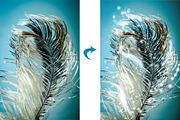 Fairy Dust Sparkle Brushes, a Brush Add-On by Transfuchsian (Thumbnail 5 of 5)