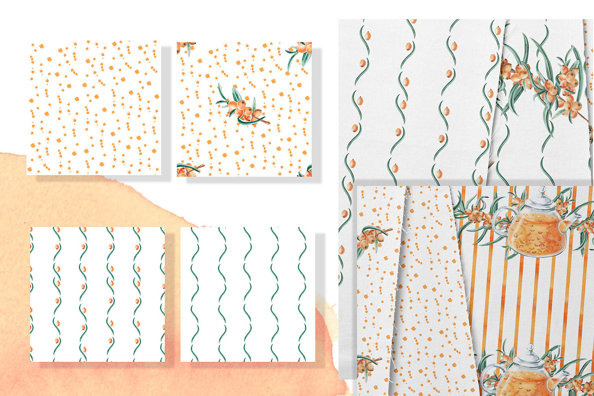Sea Buckthorn and Ginger, a Food Illustration by SvetLana (Photo 11 of 12)